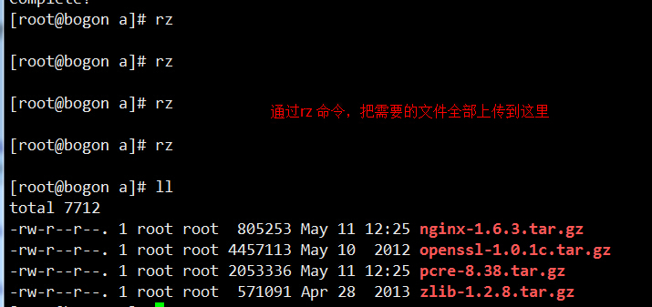 1463117612764892.jpg d5.jpg