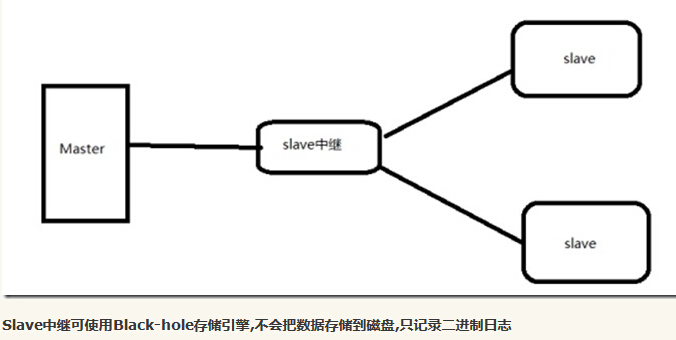 1503450727136795.jpg s1.jpg