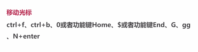 1513314004130163.jpg 40.jpg